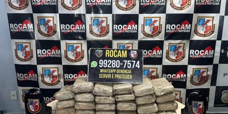 PMAM apreende 25 tabletes de maconha escondidas em residência após escavação em área de terra