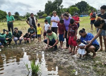 Soltura de quelônios mobiliza comunidade na reserva Puranga Conquista