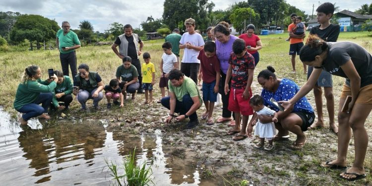 Soltura de quelônios mobiliza comunidade na reserva Puranga Conquista