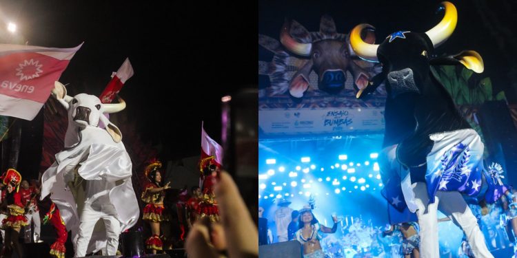 Ensaio dos Bumbás 2026: Temporada inicia no Sambódromo com noite marcada por tradição e grandes apresentações