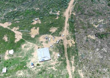 Operação Tamoiotatá 6: Ipaam aplica mais de R$ 5,4 milhões em multas por desmatamento em Apuí