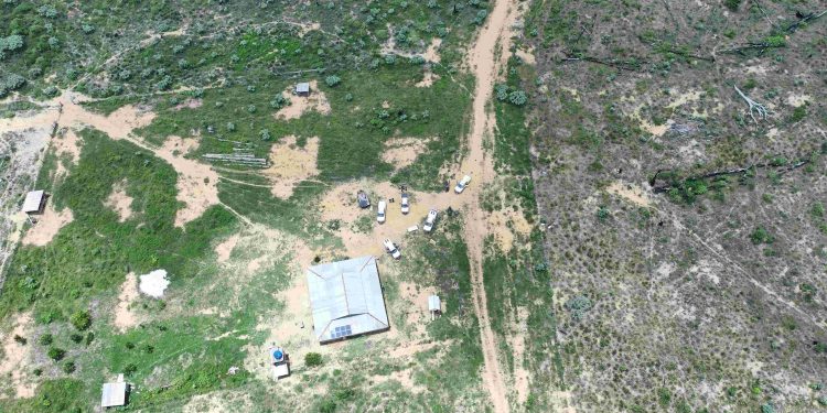 Operação Tamoiotatá 6: Ipaam aplica mais de R$ 5,4 milhões em multas por desmatamento em Apuí