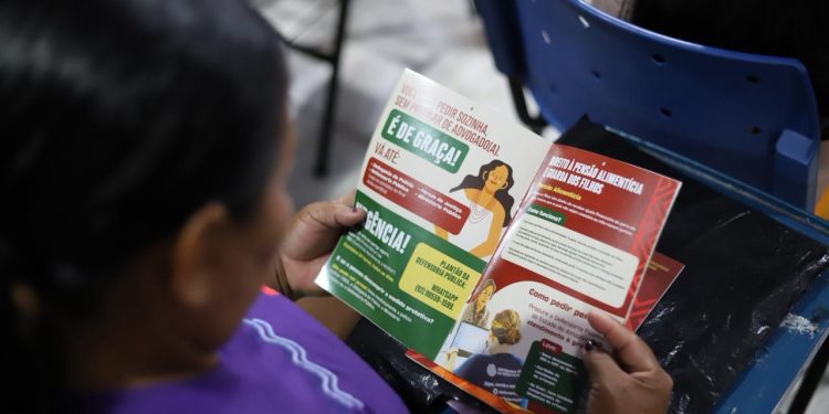 Violência contra mulheres indígenas cresce 411% no Norte e Defensoria Pública intensifica atuação no Amazonas