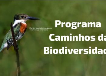 IBAMA lança chamada pública para mapear iniciativas de conservação e turismo de vida silvestre no Brasil