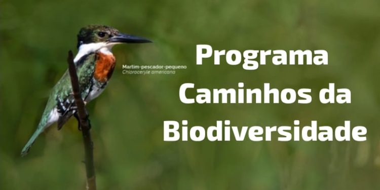 IBAMA lança chamada pública para mapear iniciativas de conservação e turismo de vida silvestre no Brasil