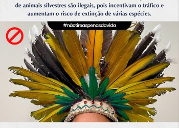 Campanha do Ibama sobre uso ilegal da fauna silvestre é aberta em Manaus