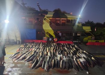 Base Arpão 2: PMAM apreende 26 toneladas de pescado durante abordagem a embarcação