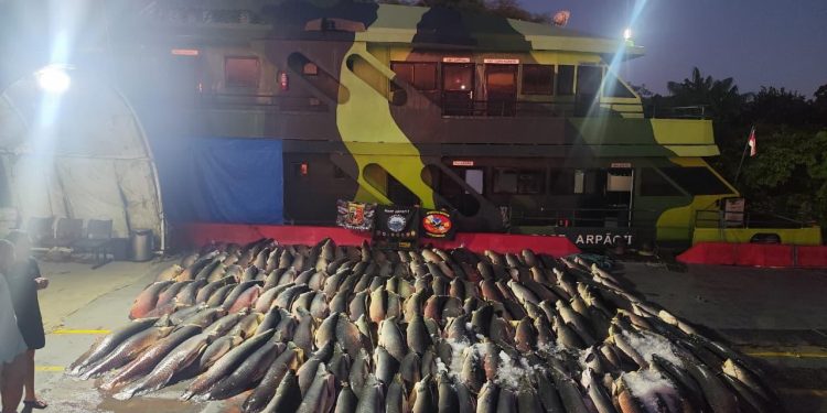 Base Arpão 2: PMAM apreende 26 toneladas de pescado durante abordagem a embarcação