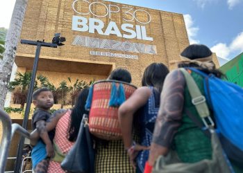 Amazonas sediará lançamento de obra coletiva sobre a participação da Defensoria Pública na COP30