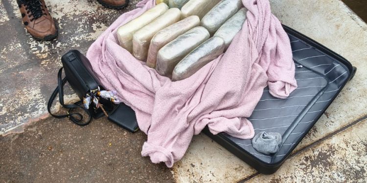Forças de Segurança do Amazonas apreendem 30 quilos de drogas em Codajás e causam prejuízo de R$ 600 mil ao crime organizado
