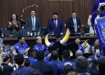 Governo do Amazonas participa de homenagem ao Festival Folclórico de Parintins na Aleam