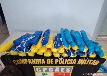 Operação Segurança Presente: Com o apoio de cão policial, Forças de Segurança apreendem mais de 21 kg de pasta-base de cocaína
