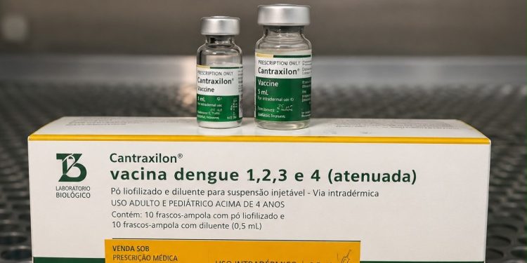 Amazonas adota suspensão temporária da vacina contra a dengue do Laboratório Butantan