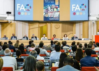 Brasil continua fora do Mapa da Fome, aponta relatório da ONU