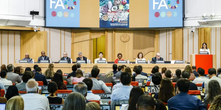 Brasil continua fora do Mapa da Fome, aponta relatório da ONU
