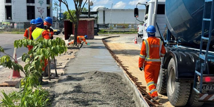 Canteiro central da avenida Margarita passa por revitalização