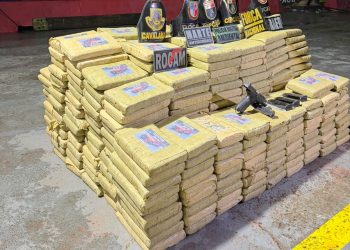 Base Arpão 2: Forças de Segurança apreendem mais de 600 quilos de skunk e causam prejuízo de R$ 29,6 milhões ao crime organizado