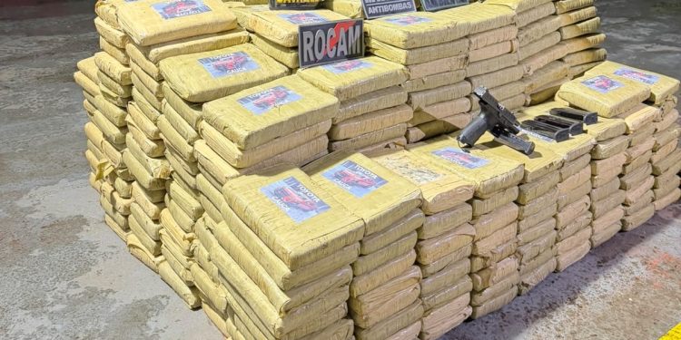 Base Arpão 2: Forças de Segurança apreendem mais de 600 quilos de skunk e causam prejuízo de R$ 29,6 milhões ao crime organizado