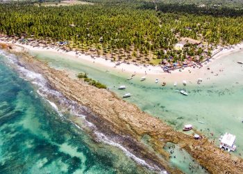 Barulho de barco e de turistas afeta comunicação de peixes, diz estudo