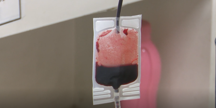 Doações de sangue ficam abaixo da meta diária do Hemoam em setembro