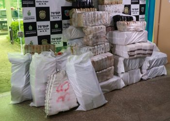 Mais de uma tonelada de skunk é apreendida em Santa Isabel do Rio Negro