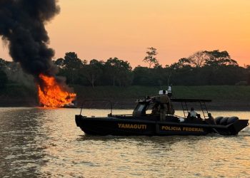Polícia Federal e Ibama combatem garimpo ilegal no Amazonas
