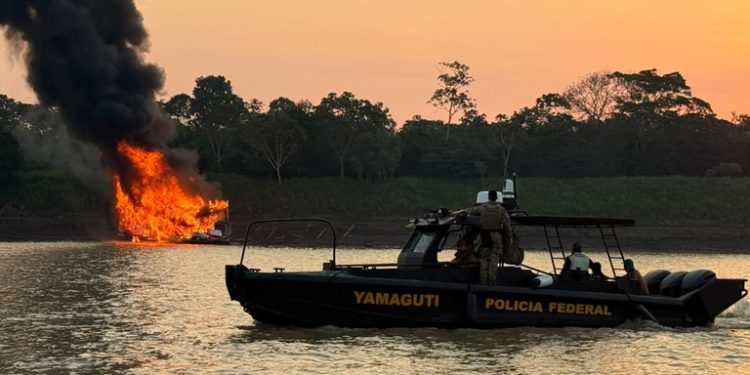 Polícia Federal e Ibama combatem garimpo ilegal no Amazonas