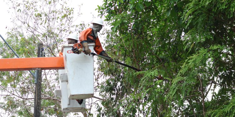 Âmbar Energia realiza serviços programados para melhorar a rede elétrica de Manaus