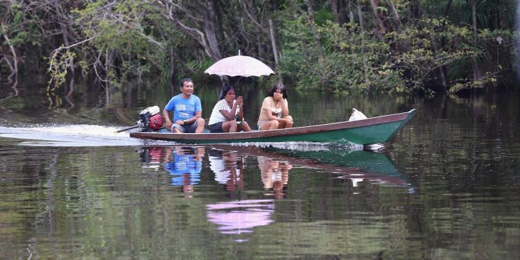 Defensoria do Amazonas reforça pedido à Justiça Eleitoral para garantir acesso de indígenas ao voto no segundo turno