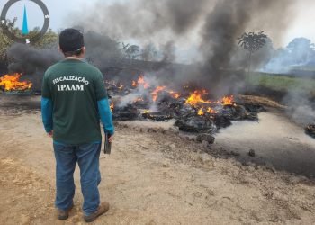 Ipaam multa proprietário de terreno em R$ 100 mil após incêndio e queima de pneus em terreno no Careiro da Várzea
