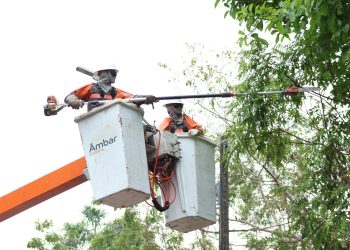 Âmbar Energia realiza 2,3 mil ações na rede elétrica do Amazonas em uma semana