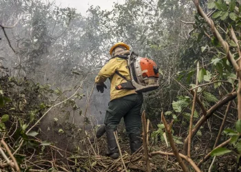 Incêndios no Amazonas resultam de ação humana, diz ministro