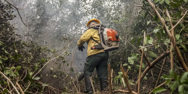 Incêndios no Amazonas resultam de ação humana, diz ministro