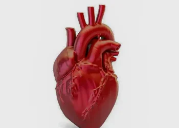 A cada 72 segundos, uma pessoa morre por doença cardiovascular no país