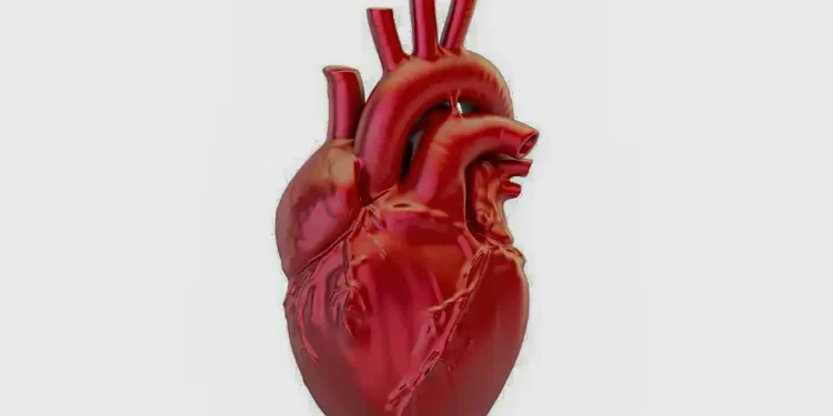 A cada 72 segundos, uma pessoa morre por doença cardiovascular no país