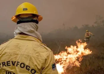 Focos de incêndio no Amazonas diminuem após ação de força-tarefa