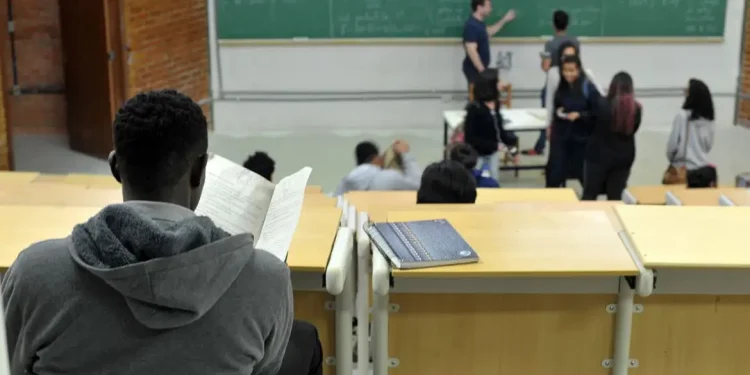 Enade 2026: iniciantes devem preencher questionário até 18 de dezembro